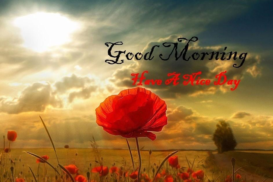 Good Morning Pictures and wallpapers for Morning Wishes