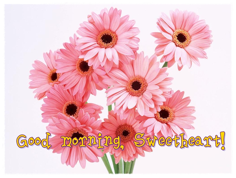 Good Morning images with flowers for sweetheart