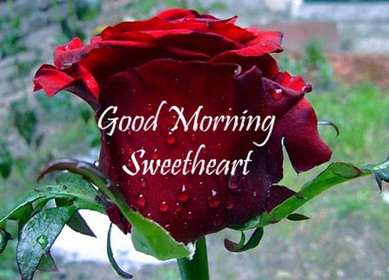 Good Morning images for Lover - Cute love wishes