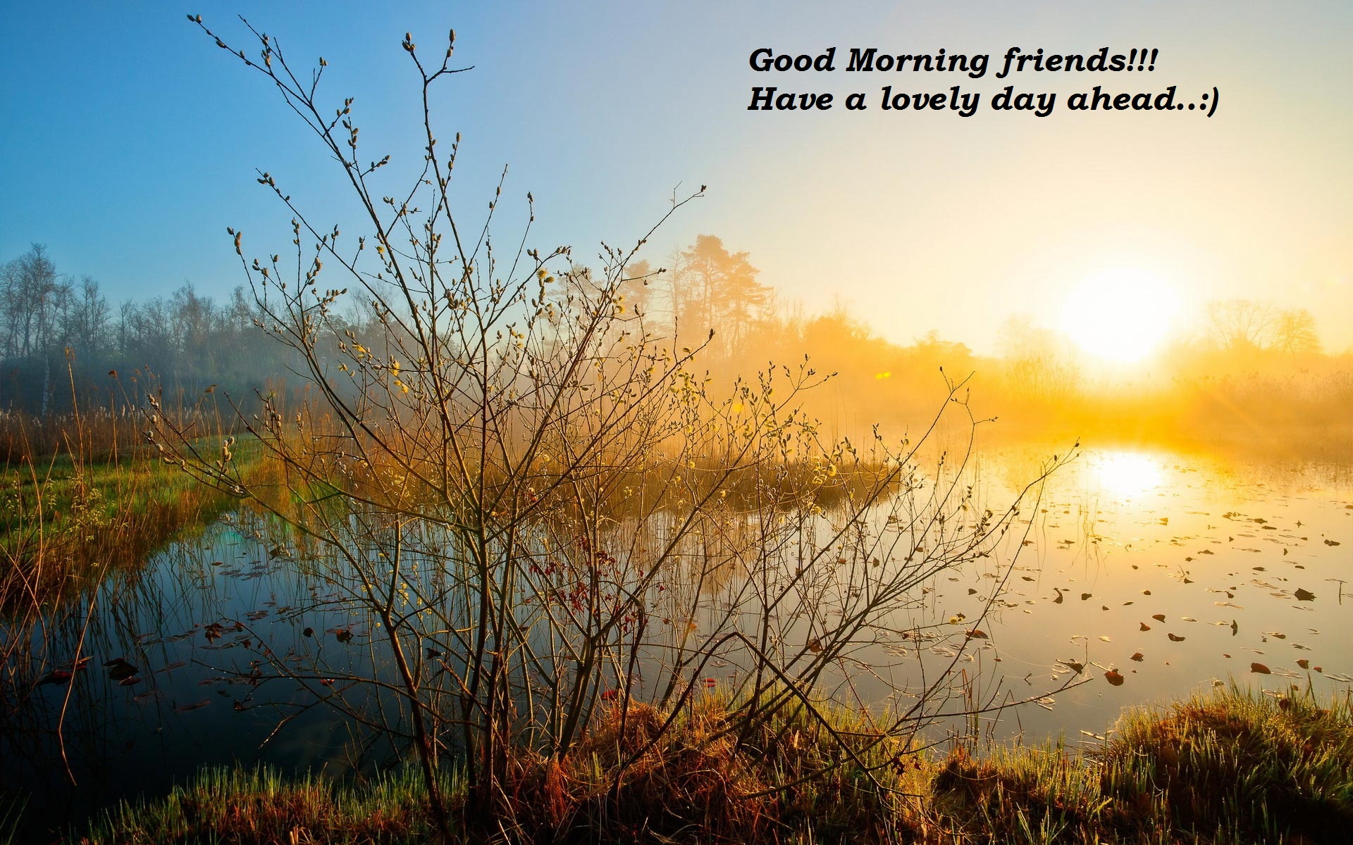 Good morning images download for free with wishes, quotes