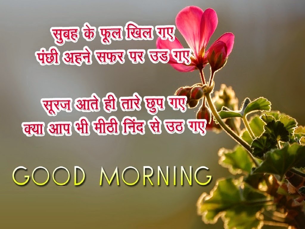 Good Morning Wishes in Hindi with images and Pictures