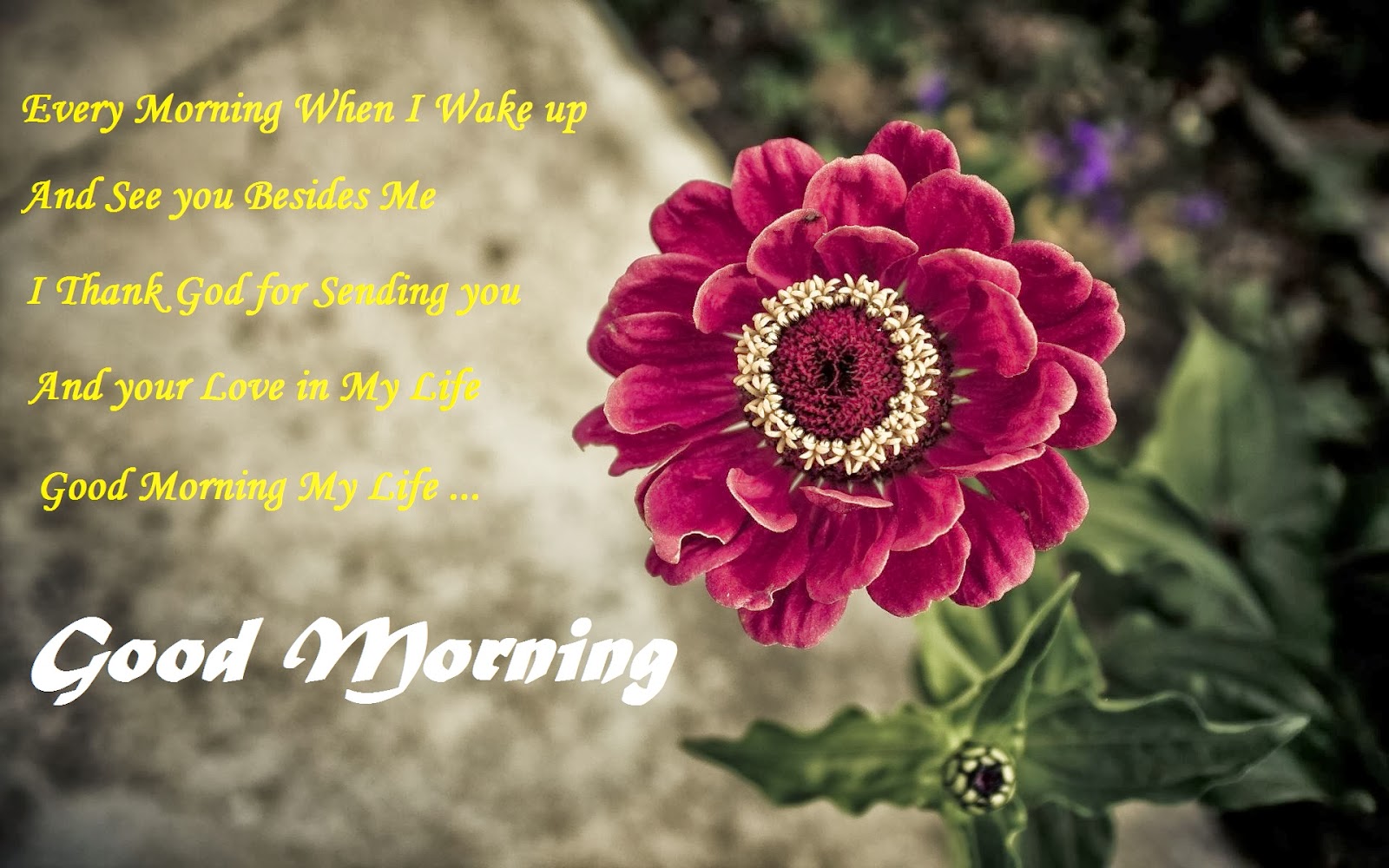 good morning flowers quotes