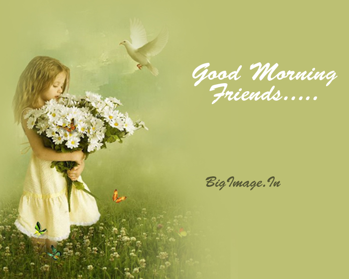 Good Morning Greetings Images and Messages