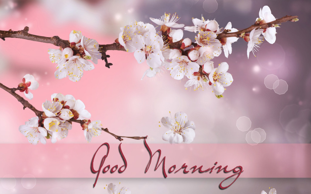 Good Morning Wallpaper HD images - Wallpapers morning