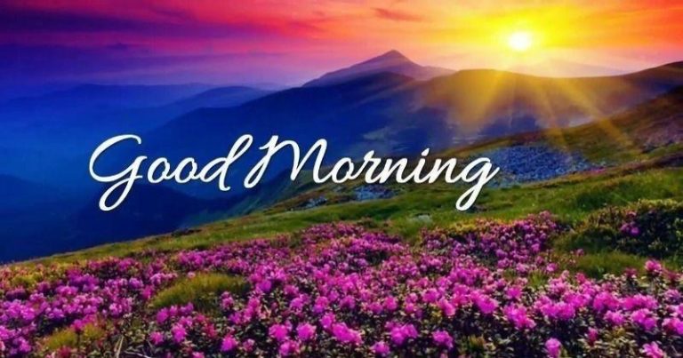 Latest good morning wishes, messages and quotes