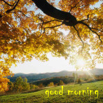 good morning images download