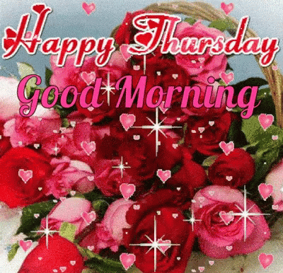 Good Morning Thursday Status Wishes, Whatsapp, Messages and Images