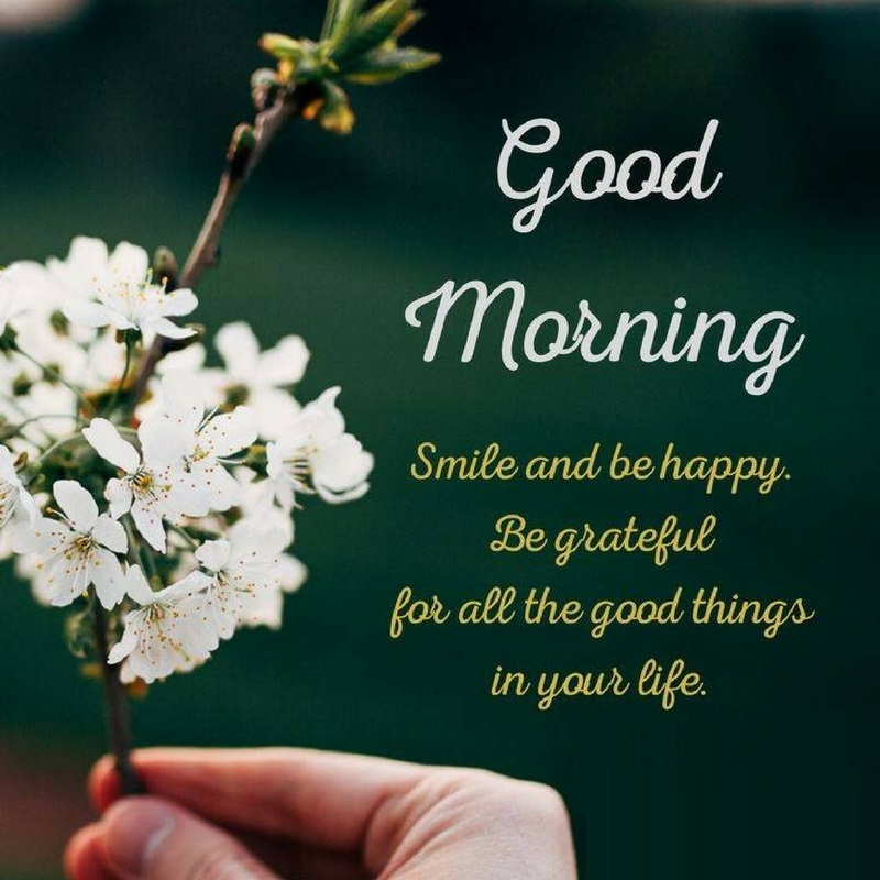 Top 10 Good Morning Tuesday Status Quotes Wishes And Images