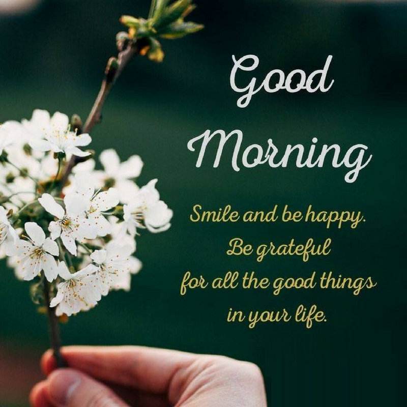 good morning happy tuesday quotes