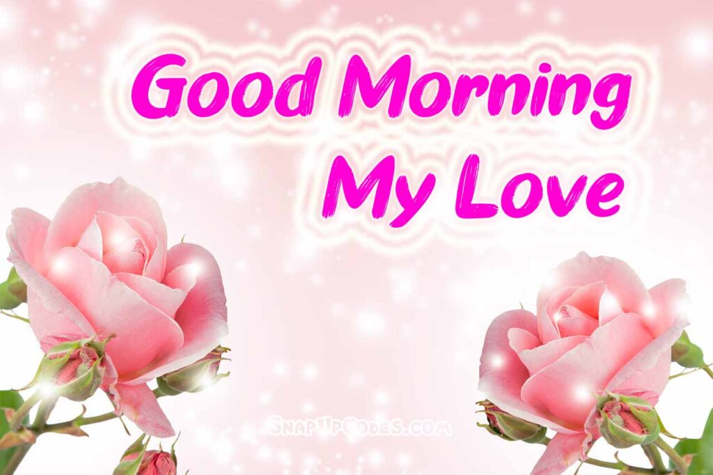 Good Morning for Lover