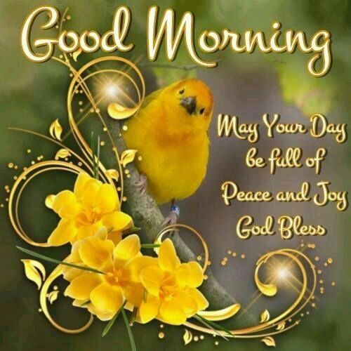 Good Morning Blessing Quotes, wishes and if you want to make any of you