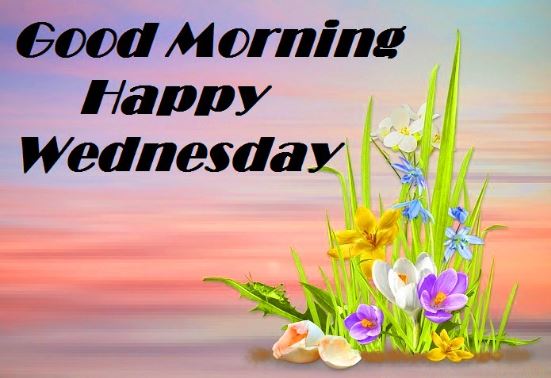 Good Morning Wednesday Quotes, appreciate the four days of the week