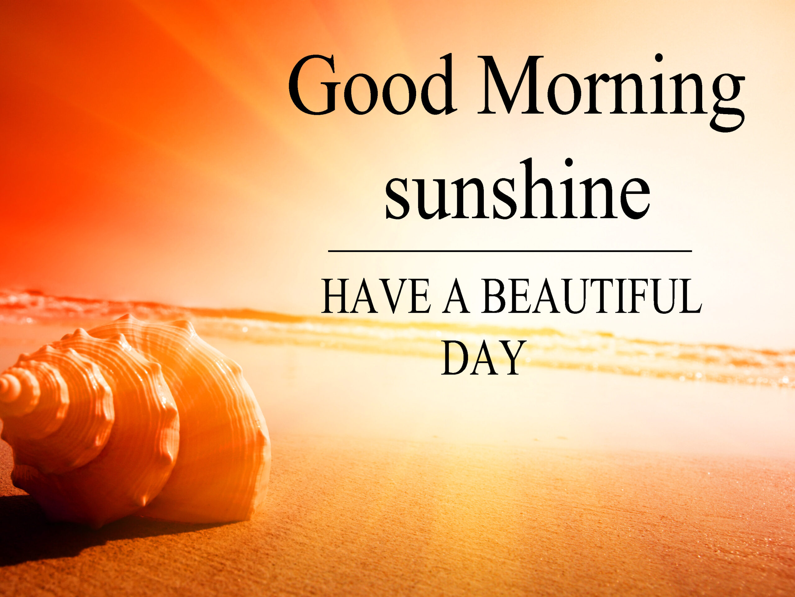 Good Morning Sunshine Quotes will help them to get a motivational start