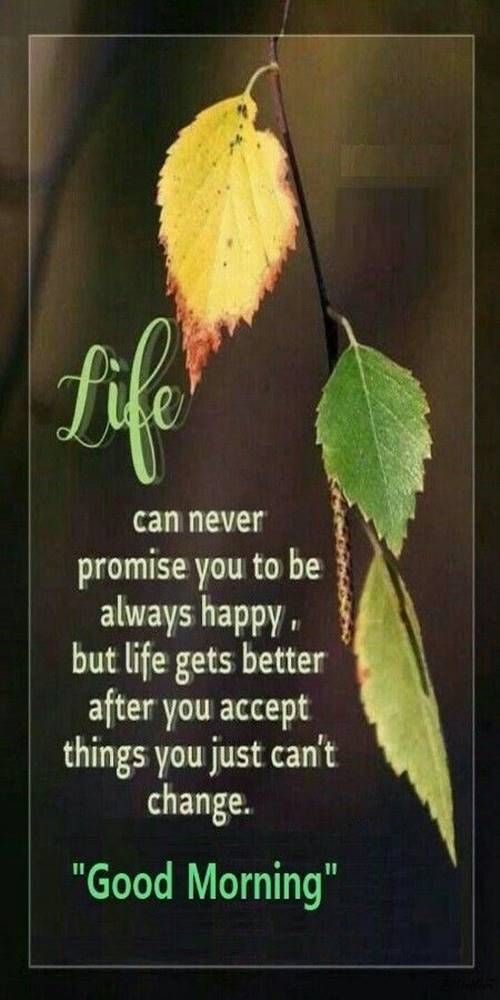 good-morning-quotes-with-pictures-good-morning-quotes-and-wishes