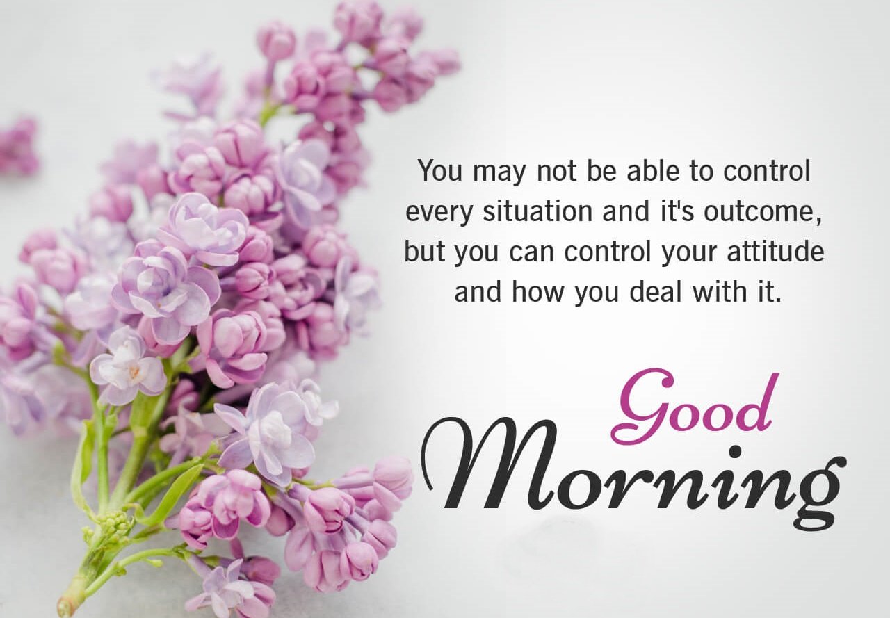 Good morning Images Archives - Good Morning Quotes and Wishes