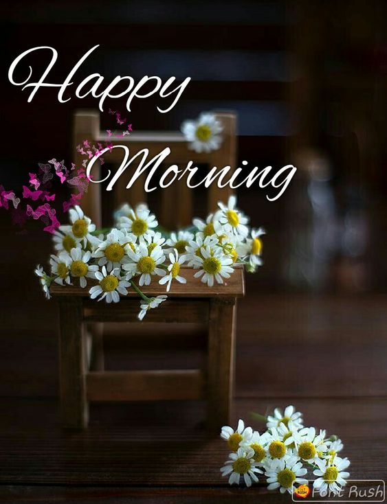 Good Morning Wishes To Family - Good Morning Quotes and Wishes