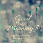 Good Morning Images Quotes Greetings