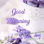 good morning quotes for love