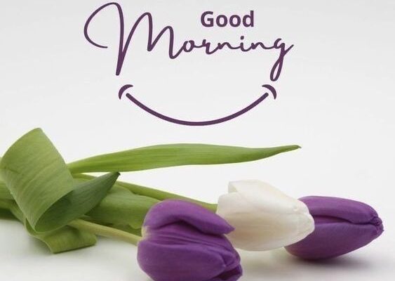 Today-Special-Good-Morning
